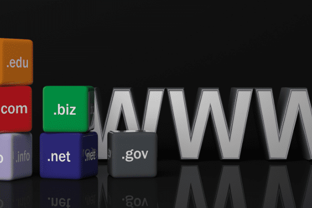 www domains